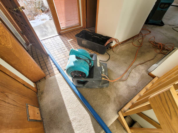 Best Water damage restoration services  in Warner, OK