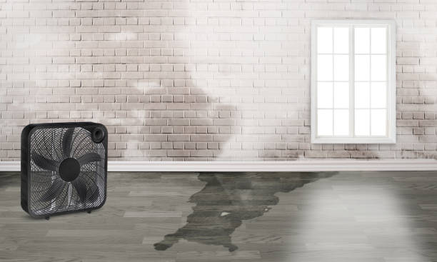 Best Flood damage cleanup  in Warner, OK