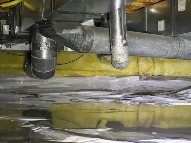 Best Water damage contractors near me  in Warner, OK