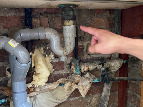 Best Mold removal after water damage  in Warner, OK